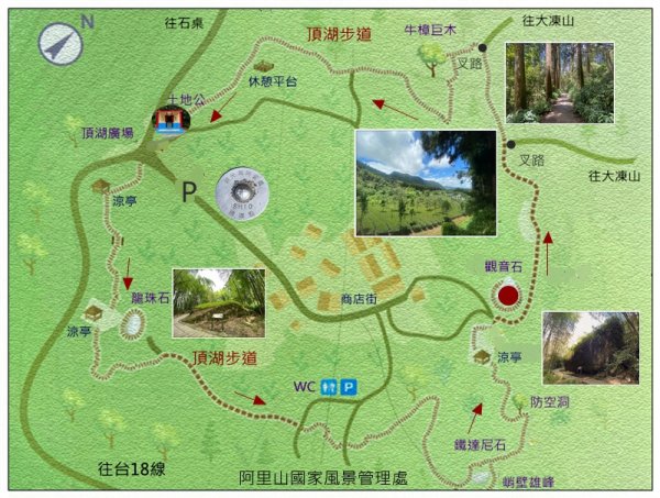 阿里山 頂湖步道 O遶一圈3088336