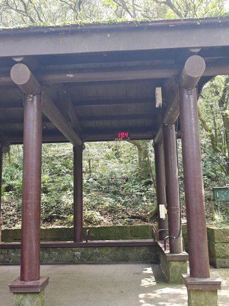 2026-0323 台北大縱走第一段3022629