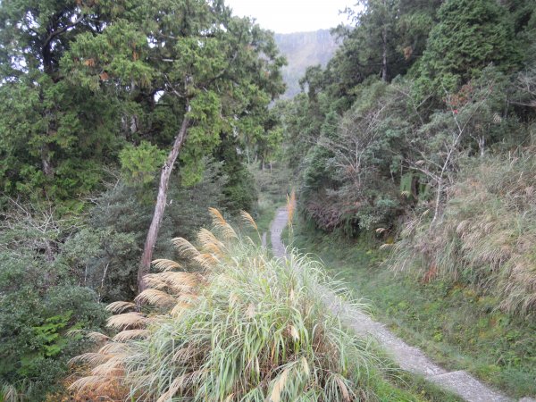 宜蘭太平山_翠峰湖&見晴懷古步道201410251961126