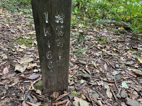 特富野古道2605816