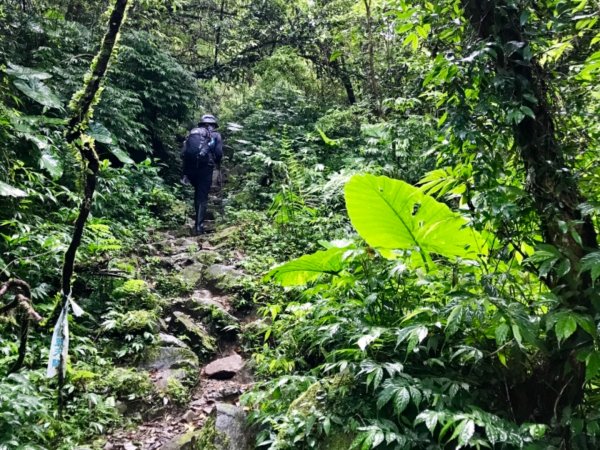 崩山坑古道環走中坑古道632781