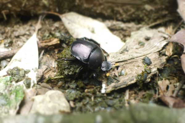 志繼山、東眼山、拉卡山O型環走401768