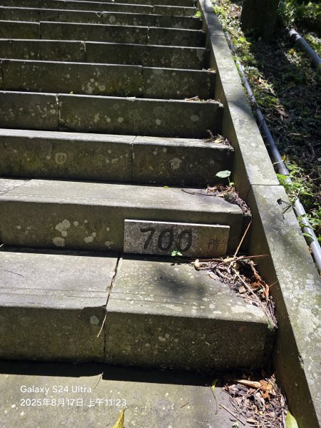 2025-08-17臺北大縱走第七段：世界山莊至飛龍步道政大後山2862375