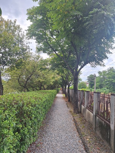 羅東林業文化園區步道11507183117149