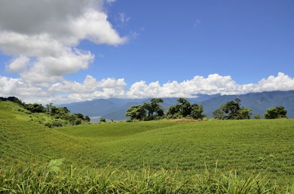 六十石山,赤科山545796