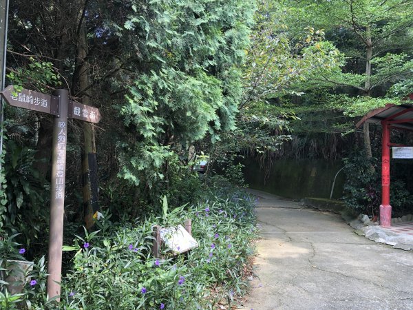 台灣小百岳No.043 三汀山1103336