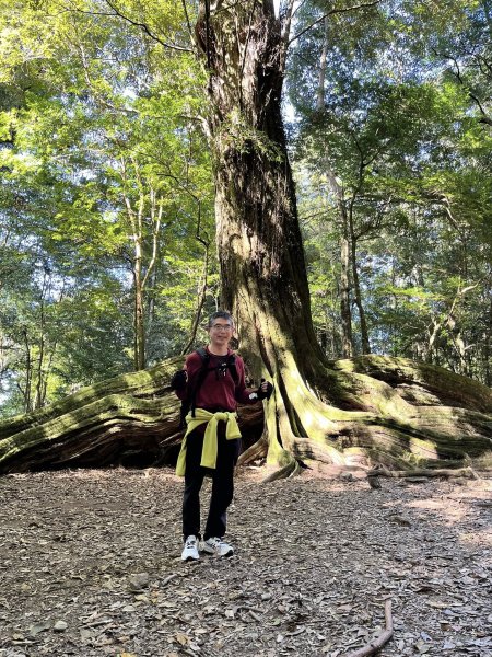 雪見大板根2959266