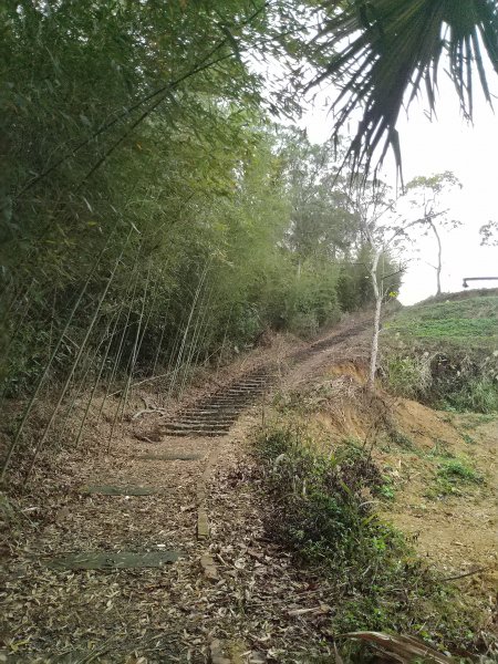 老銃櫃步道 & 三聯埤步道1231348