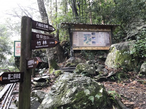 八仙山國家森林遊樂區步道20170306封面