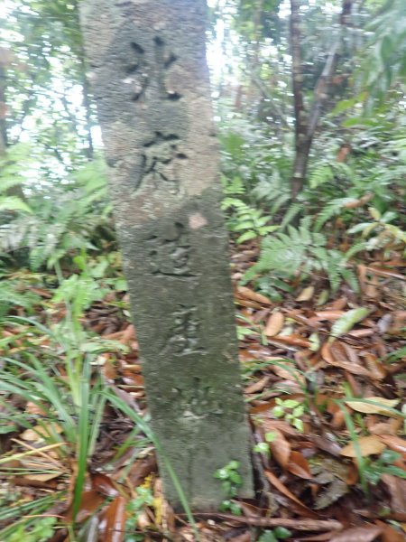 2022-04-01　天氣陣雨，翡翠坑山探索1660643