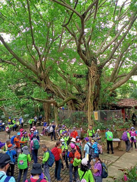 外南勢角山(國旗嶺)-圓通寺環山步道1700456