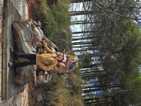 大雪山國家森林遊樂區賞楓／看神木／賞雪白山頭／賞大景2974315