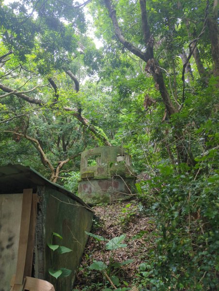 2025.06.14－圓山經基隆河畔到芝山巖2811649