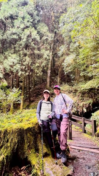 🌈3/28（六）觀霧檜山巨山步道×瀑布步道✨FB：熊熊趴爬走🌈3025244