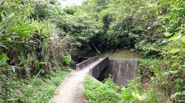 玉田古道,大湖越嶺保甲路2582301