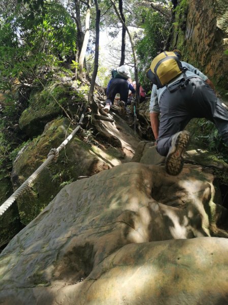 猴山岳萬壽路登山口-猴山岳-林家草厝-猴山岳山腰路-泰元農場 踽踽獨行2720829