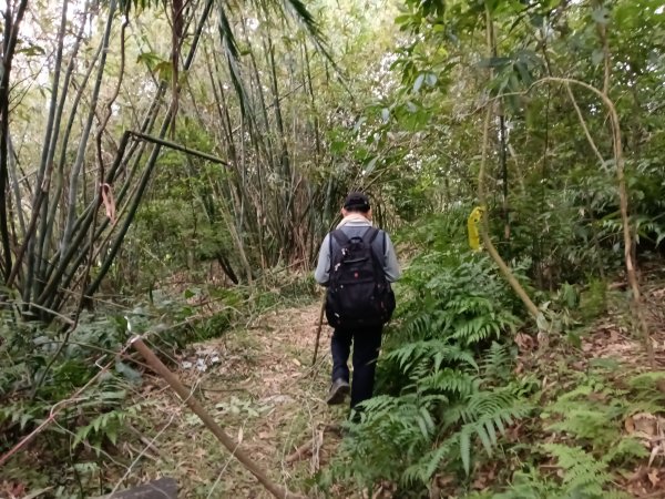基隆市三層山+湳子大崙+淡基橫斷古道+面桶寮土地公2982265