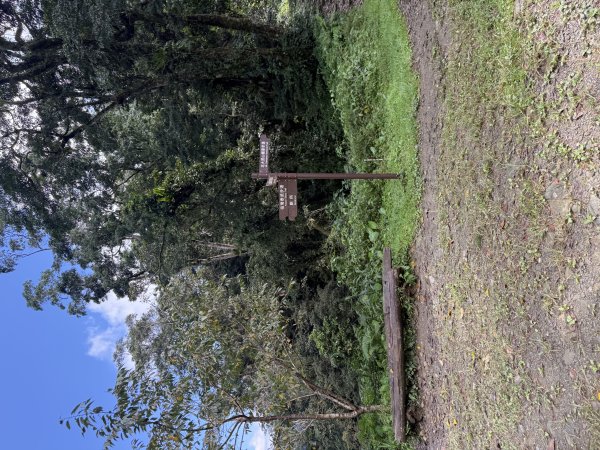 91北大武山（至檜谷山莊）115.10.043128662