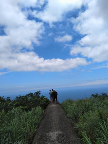 20190530 茶壺山555峰598762