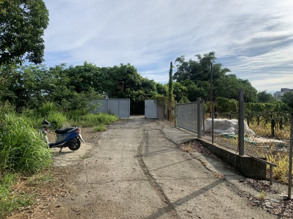 20250628高雄赤山2826274