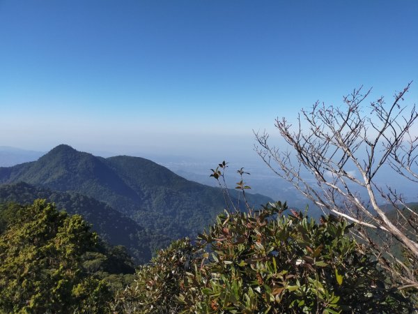 鳶嘴稍來輕鬆走806219