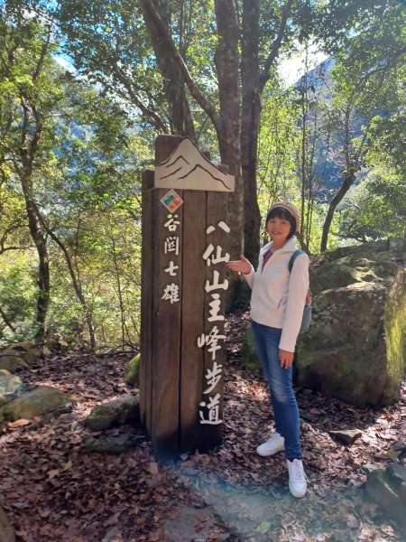 【台中和平】森林步道悠閒走。 八仙山森林遊樂區步道群2784596