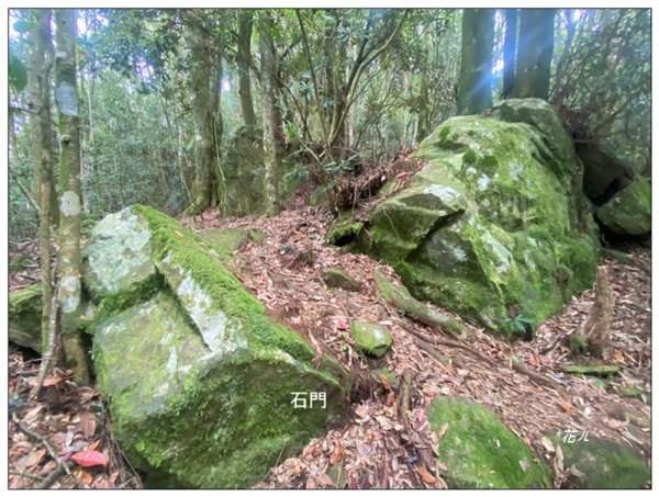 醜崠山、肥崠山(長壽山)、大崠山 三崠連走3100774