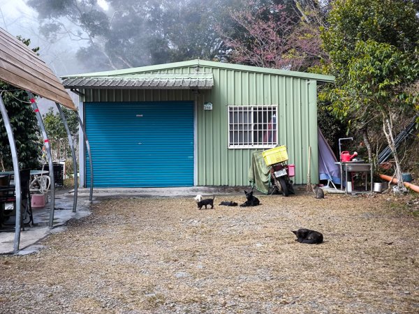 2026-02-08 藤枝山2998435