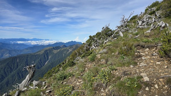 20250622 一日單攻雪主2919327