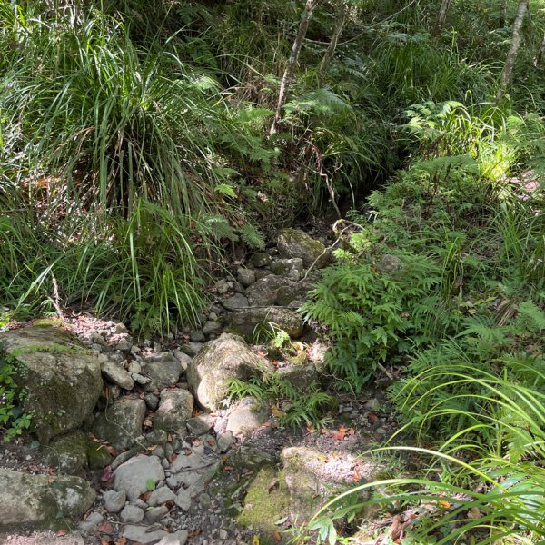 20251012_八里灣山（花蓮小百岳）2941294