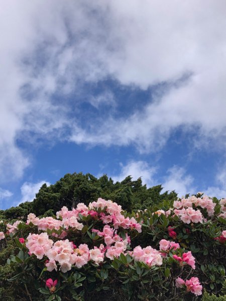 202505八大秀2874052