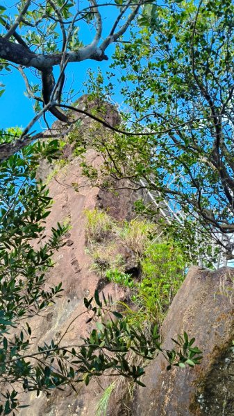 叮叮叮：一個人的微笑山線😊2917423