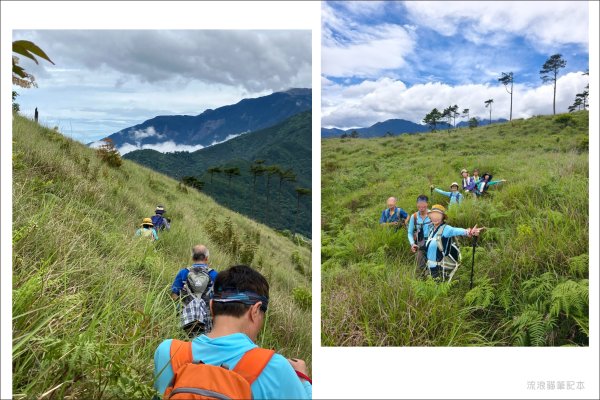 【羅馬縱走】山林巨木饗宴，夏季避暑的縱走路線2888216