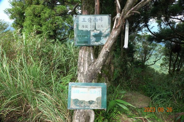 基隆 頂寮山、龍門山、五分山、頂子寮山2265944