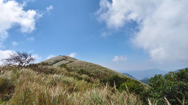 陽明山輕鬆走2991975