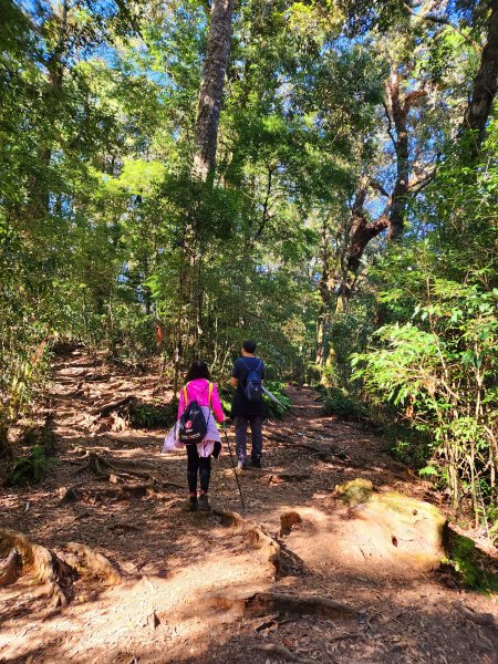 小百岳集起來-金柑樹山2183180