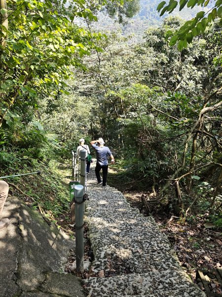 2026-0221造鎮-太極嶺-桐花公園-承天禪寺-永寧站3005814