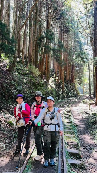 🌈10/11（日）消失的阿里山森林鐵路FB：熊熊趴爬走(富裕登山社)🌈3134737