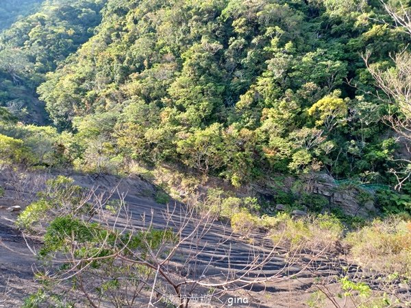 【屏東獅子鄉】海天一色。 台灣百大必訪步道~里龍山自然步道2550737