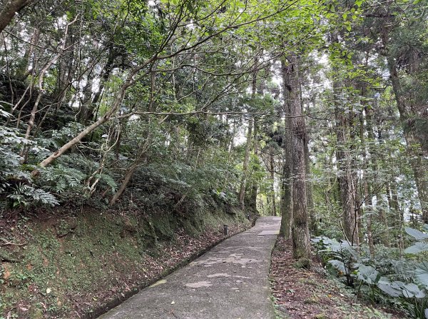 [山頂鳥40周年會員大縱走-13/15] 2024_0804 東眼山自導式步道2565406