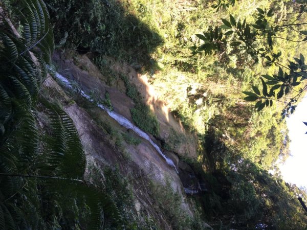 北得拉曼神木步道、內鳥嘴山、山毛櫸、瀑布2348763