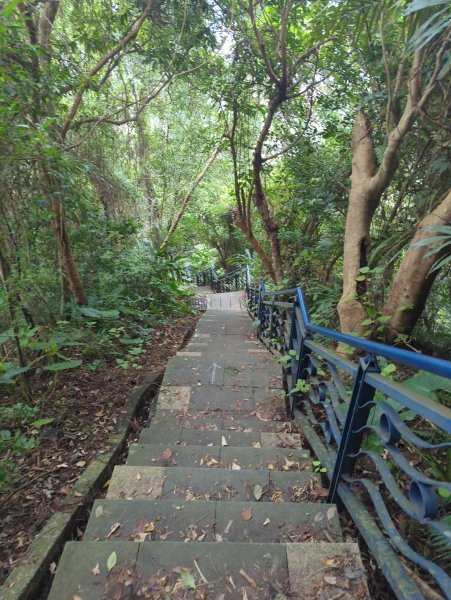 2025.12.14－微笑山線：【二格山系】和美山螢火蟲段2966258