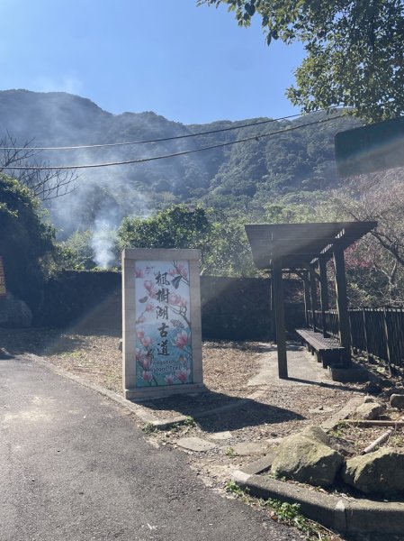 楓樹湖古道3012072