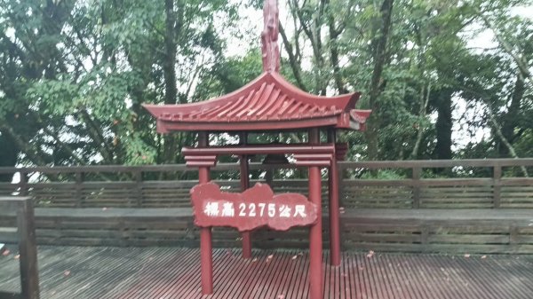 20251010 大雪山國家森林遊樂區 - 船型山林道 登 烏石坑山2911020