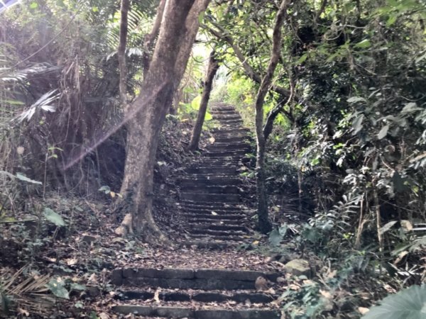 烏山步道走刣牛湖山468595