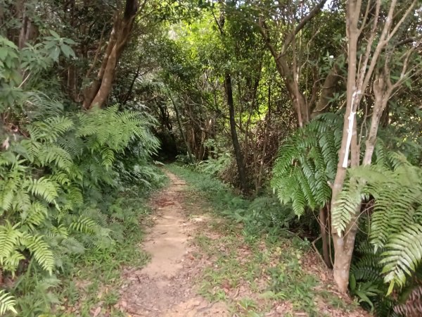汐止區夢湖保線路+單車夢湖路O型2894134