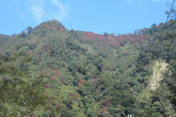 104.12.1台中稍來山南峰+稍來山主189004