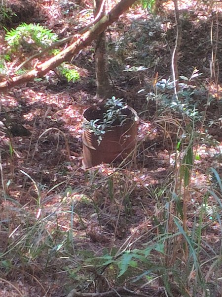 守關山南峰 守關山 守城大山2919145