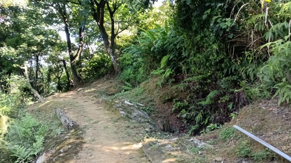 瑞芳區瑞竹步道-大坑埔山-月眉砲台-月眉山-長命山-大水堀山3081561