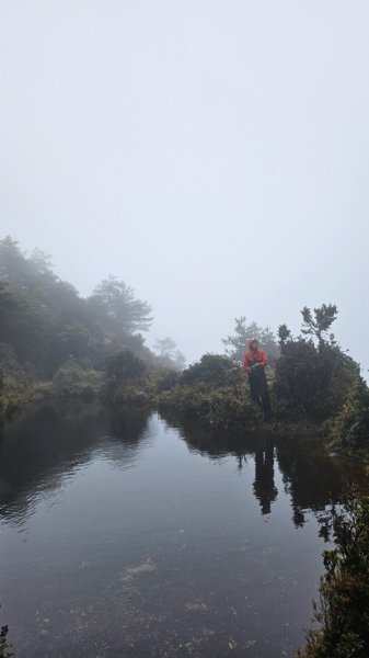 20250319～20嘉明湖國家步道🥶🥶🥶殘念😭2739731